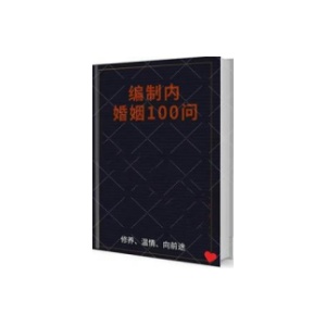 《编制内婚姻规则100问》PDF