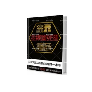 《流量掘金-全渠道变现》PDF
