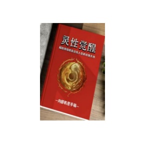 《灵性觉醒》PDF
