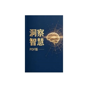 《洞读智慧》PDF