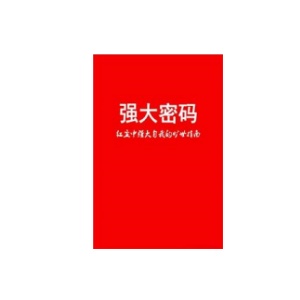 《强大密码》PDF