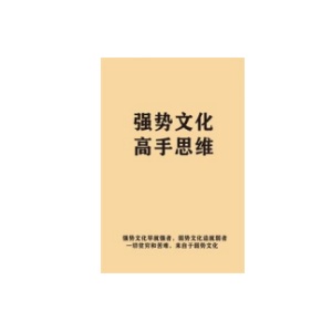 《强势文化高手思维》PDF