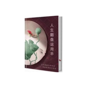 《人生翻盘运用手册》PDF