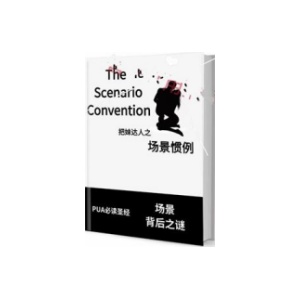 《场景惯例》PDF