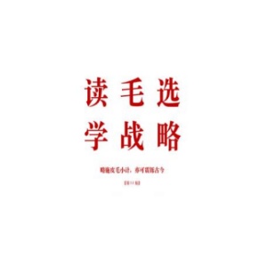 《读毛选，学战略》PDF