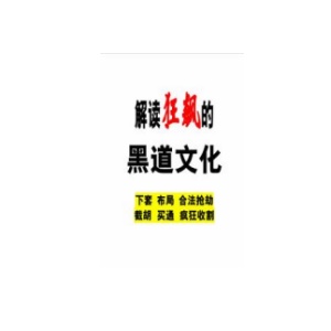 《解读狂飙的黑道文化》PDF