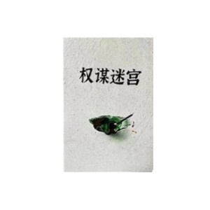 《权谋迷宫》PDF