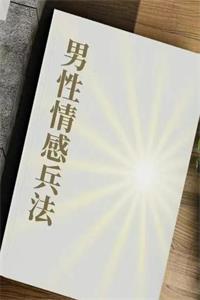 《男性情感兵法》一本帮助男性提升情感智慧与社交能力的实用指南-爱读书