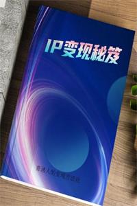 《IP变现秘笈》普通人的变现方法论-爱读书