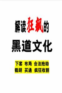 《解读狂飙的黑道文化》PDF-爱读书