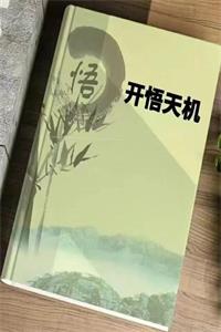 《开悟天机》PDF-爱读书