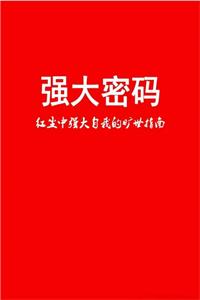 《强大密码》PDF-爱读书