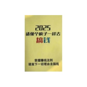 《2025请像个疯子一样去搞钱》PDF