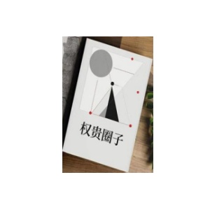 《权贵圈子》PDF