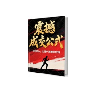 《震撼成交公式》PDF
