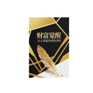 《财富觉醒》PDF