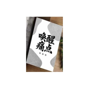 《唤醒痛点》PDF
