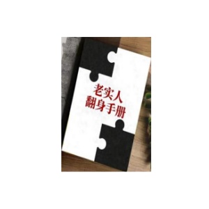 《老实人翻身手册》PDF