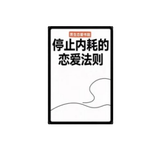 《停止内耗的恋爱法则》PDF