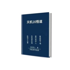 《天机16悟道》PDF