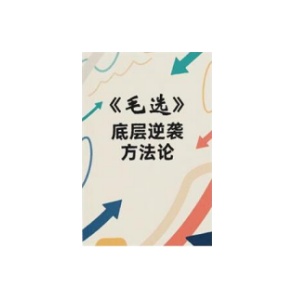 《毛选-底层逆袭方法论》PDF