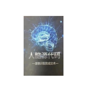 《人脑源代码》PDF
