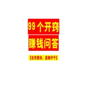 《99个开窍赚钱问答》PDF