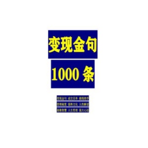 《变现金句1000条》PDF