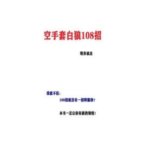 《空手套白狼108招》PDF