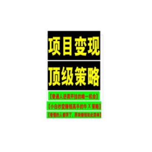 《项目变现顶级策略》PDF