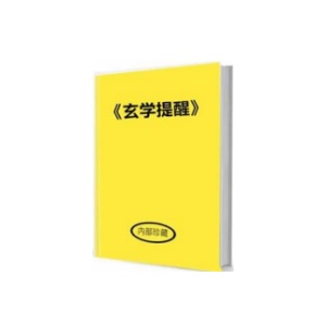 《玄学提醒》PDF