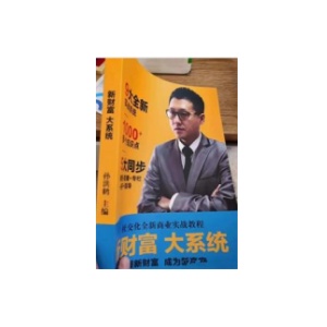 《新财富大系统》PDF