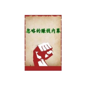 《忽略的赚钱内幕》PDF