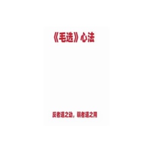 《毛选》心法PDF
