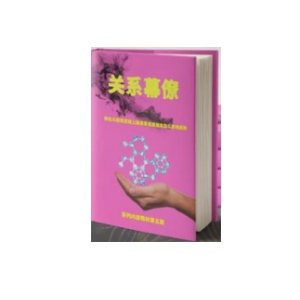《关系幕僚》PDF