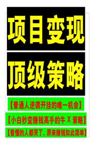 《项目变现顶级策略》PDF-爱读书