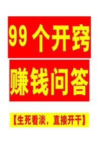 《99个开窍赚钱问答》PDF-爱读书