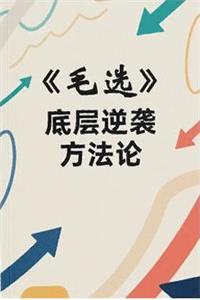 《毛选-底层逆袭方法论》PDF-爱读书