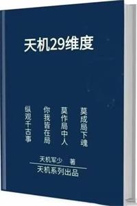 《天机29维度》PDF-爱读书