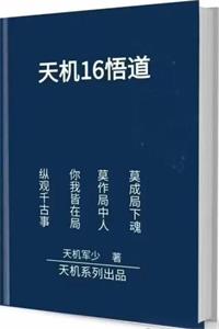 《天机16悟道》PDF-爱读书