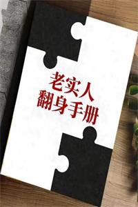 《老实人翻身手册》PDF-爱读书