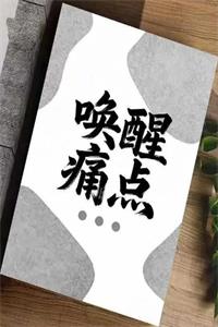 《唤醒痛点》PDF-爱读书