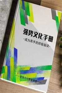 《强势文化运用手册》PDF-爱读书