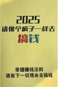 《2025请像个疯子一样去搞钱》PDF-爱读书