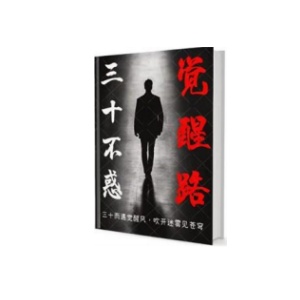 《三十不惑觉醒路》PDF