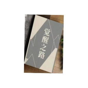 《觉醒之路》PDF
