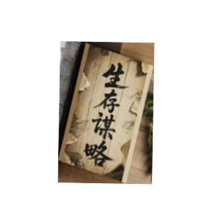 《生存谋略》PDF