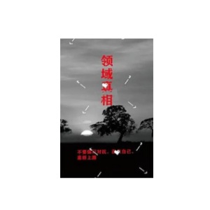 《领域真相》PDF
