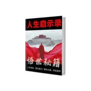 《人生启示录悟世秘籍》PDF