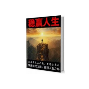 《稳赢人生》PDF
